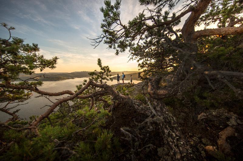 Готель Elite Plaza Oernskoeldsvik Екстер'єр фото